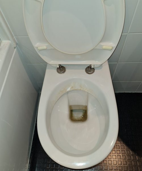 dirty toilet - Skyline Cleaning dirty toilet - Skyline Cleaning